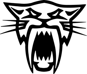 ARCTIC CAT HEAD pronunciation