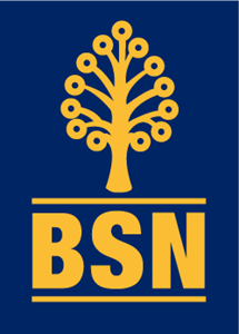 bsn pronunciation