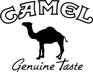 Camel pronunciation