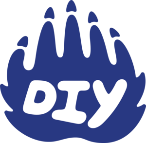 Diy.org pronunciation