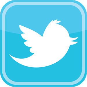 Twitter bird icon pronunciation